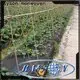 rayson nonwoven OEM ground weed barrier supplier 1