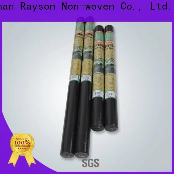 Rayson dokunmamış Rayson OEM dokunmamış 200gsm ot kontrolü kumaş tedarikçisi 1