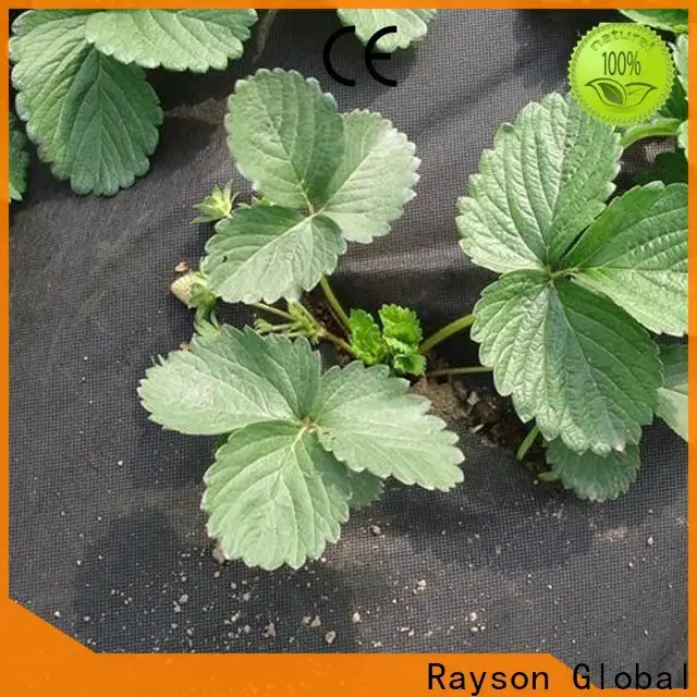 azienda di tessuti barriera contro le erbacce da giardino in tessuto non tessuto Rayson 1