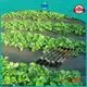 Rayson Vliesstoff Landschaftsstoff Preis Preis 1
