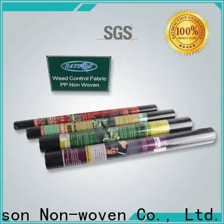 Rayson non tessuto Miglior fornitore personalizzato di tessuto non tessuto asso 1