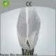 Rayson nonwoven Rayson ODM toplu olarak en iyi peyzaj bariyer kumaşı 1