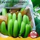 Rayson不織布で雑草防除用の最高のランドスケープファブリック 1