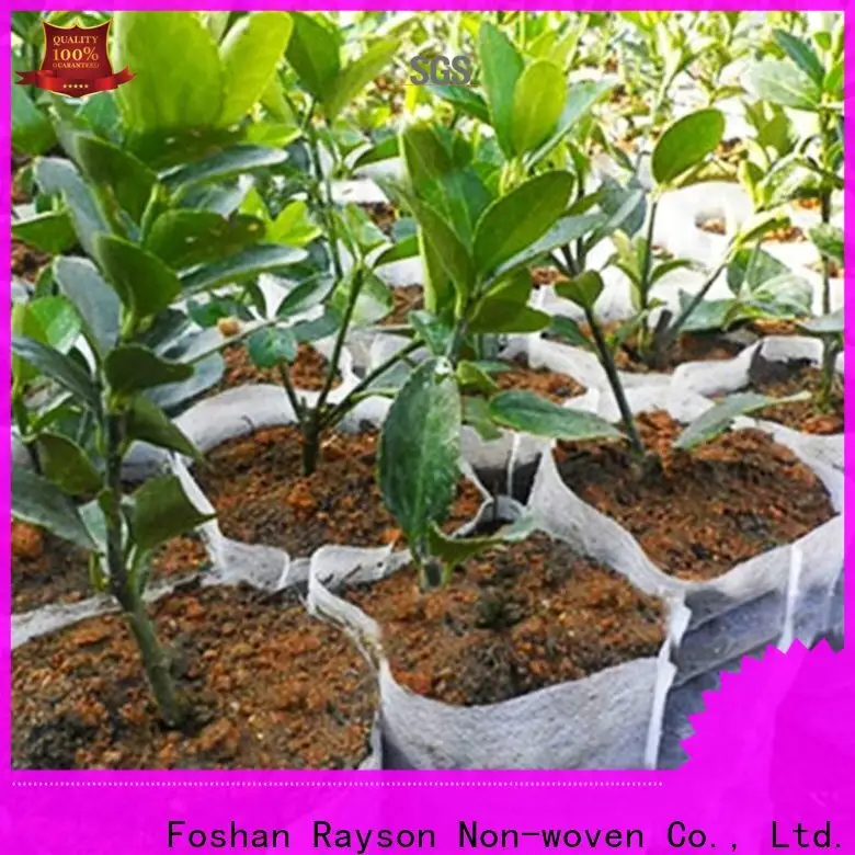 Fabricante de estacas de tecido de paisagem personalizadas Rayson 1