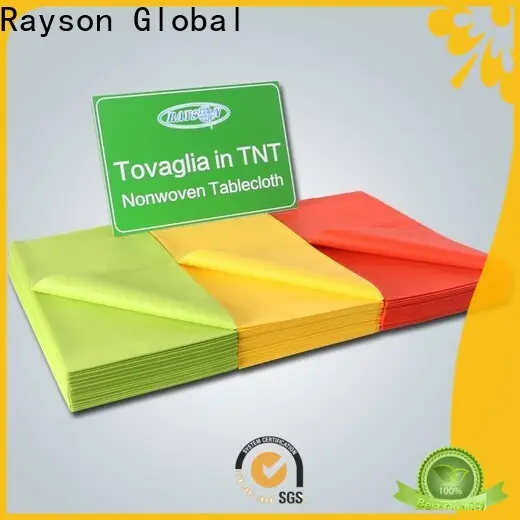 prezzo delle tovaglie natalizie usa e getta in tessuto non tessuto Rayson OEM 1