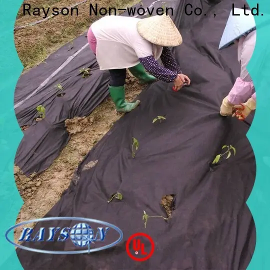 Rayson-Vliesstoff, weißer Landschaftsstoff in großen Mengen 1