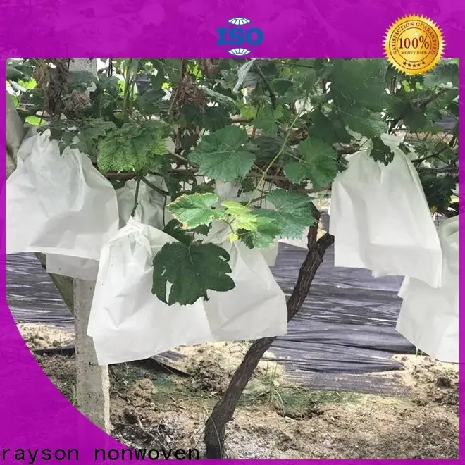 Rayson 부직포 상업 등급 조경 직물 가격 1