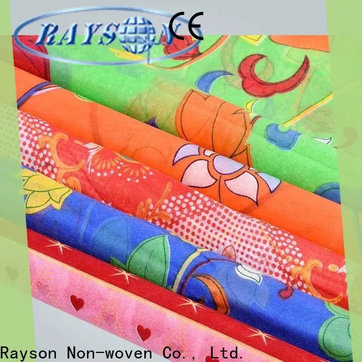 Rayson bester Preis für Spunlace-Vliesstoffe 1