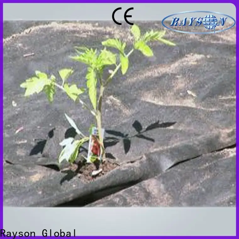 रेसन नॉनवुवेन रेसन ओईएम स्कॉट के लैंडस्केप फैब्रिक निर्माता 1