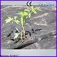 रेसन नॉनवुवेन रेसन ओईएम स्कॉट के लैंडस्केप फैब्रिक निर्माता 1