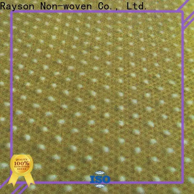 Rayson non tessuto Rayson Wholesale OEM produttore di geotessile non tessuto agugliato 1