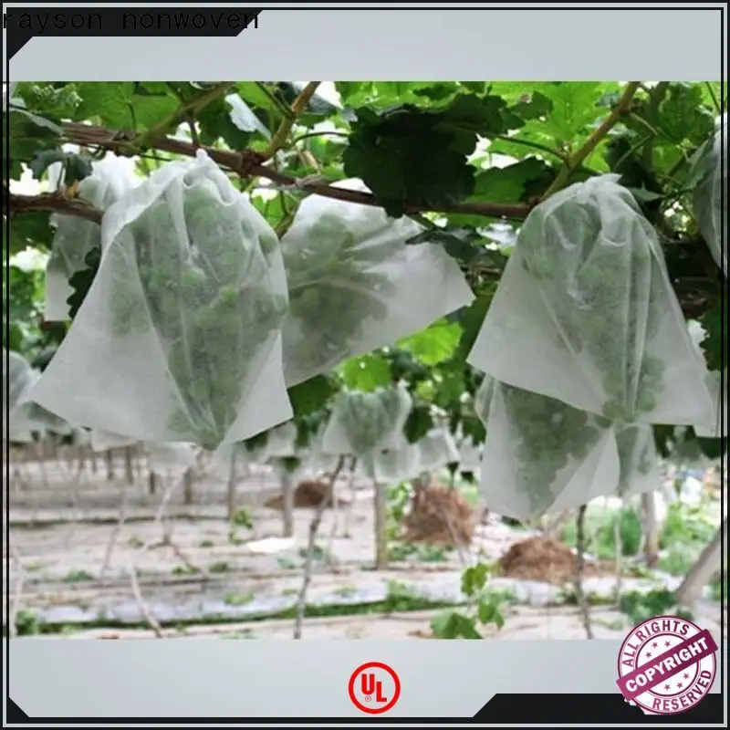 Fornitore di coperture per filari da giardino in tessuto non tessuto Rayson 1