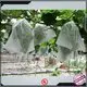 Fornitore di coperture per filari da giardino in tessuto non tessuto Rayson 1