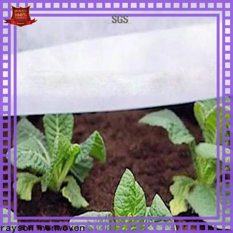 Rayson nonwoven Rayson peyzaj örgü kumaş üreticisi 1