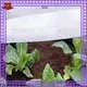 Rayson nonwoven Rayson peyzaj örgü kumaş üreticisi 1