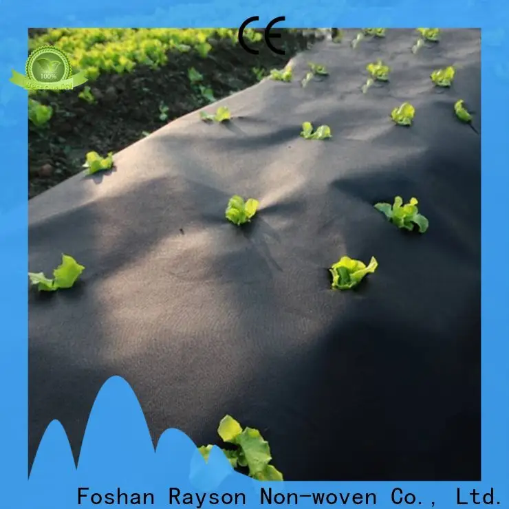 rayson nonwoven weed killing membrane company 1