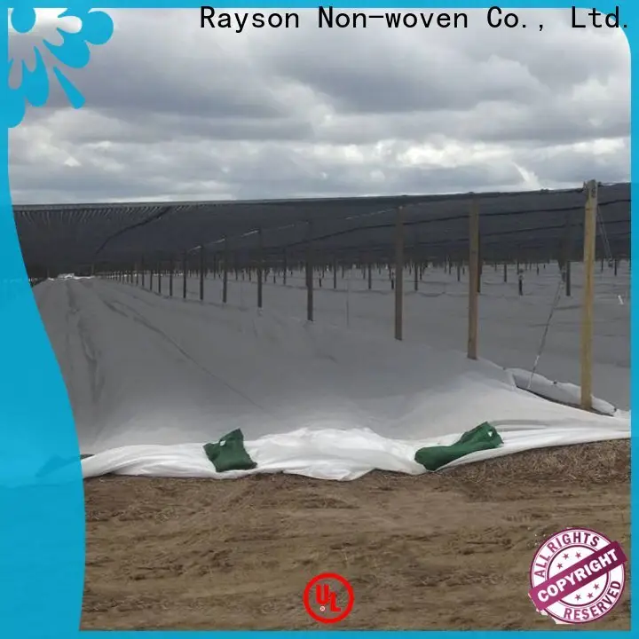 rayson nonwoven Toplu OEM ganpati nonwoven kumaşı toplu olarak satın alın 1
