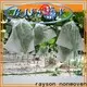 rayson nonwoven Toplu toplu olarak bitkiler için nonwoven don kumaş satın alın 1