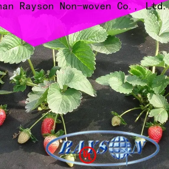rayson nonwoven garden fabric row cover company 1