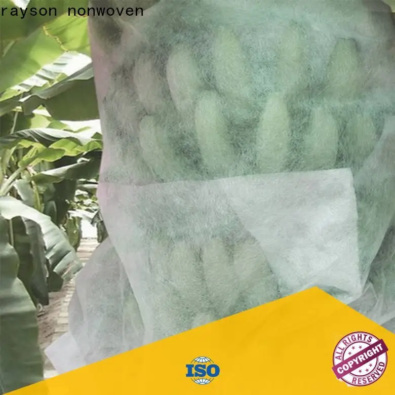 Rayson nonwoven Bitkileri kaplamak için toptan yüksek kaliteli dokunmamış kumaş tedarikçisi 1