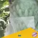 Rayson nonwoven Bitkileri kaplamak için toptan yüksek kaliteli dokunmamış kumaş tedarikçisi 1