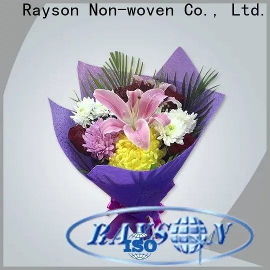 Rayson Bulk achète le meilleur prix du tissu spunbond en polypropylène 1