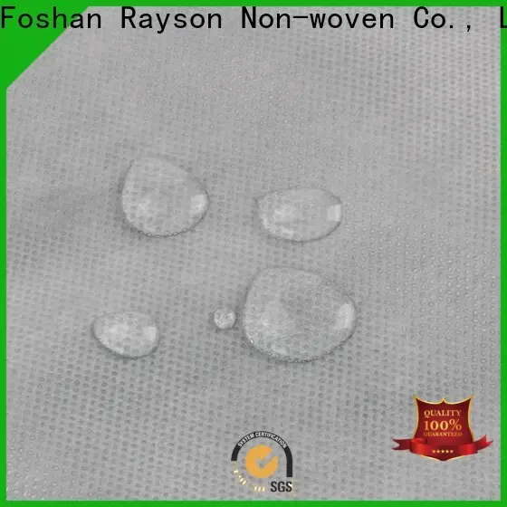 société non tissée Rayson non tissée spunbond ss 1