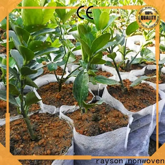 rayson nonwoven Wholesale nonwoven row cover supplier 1