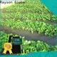 レイソン不織布景観防草膜工場 1