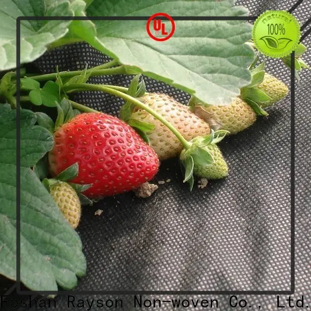 rayson nonwoven landscape fabric under stone factory 1
