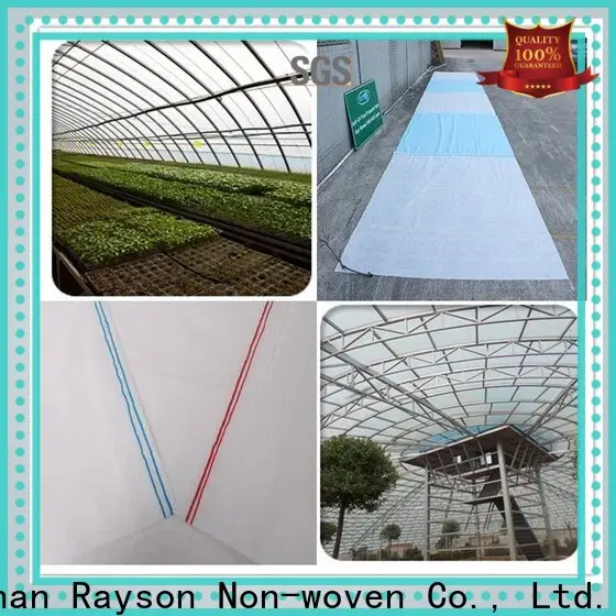 rayson nonwoven Rayson Bulk buy premium landscape fabric supplier 1