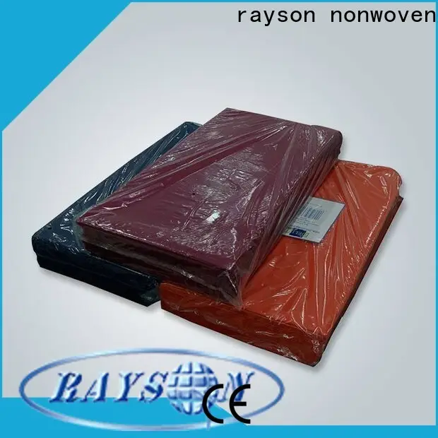 azienda di tovaglie natalizie usa e getta in tessuto non tessuto Rayson 1