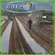 rayson nonwoven OEM high quality black landscape fabric manufacturer 1
