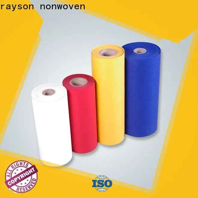 Rayson Custom agryl 17gr en vrac 1