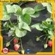 rayon nonwoven peyzaj kumaşı drenaj şirketi 1