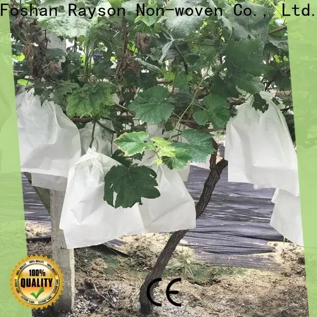 Rayson nonwoven agfabric peyzaj zemin örtüsü üreticisi 1