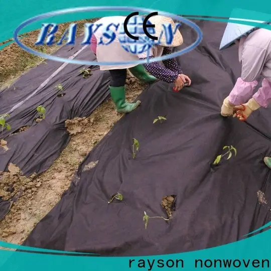 Rayson nonwoven Rayson OEM nonwoven ot blok sebze bahçeleri için kumaş toplu olarak 1