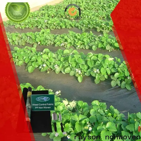 Peyzaj kumaş şirketi altında toplu olarak nonwoven ot öldürücü satın alma 1