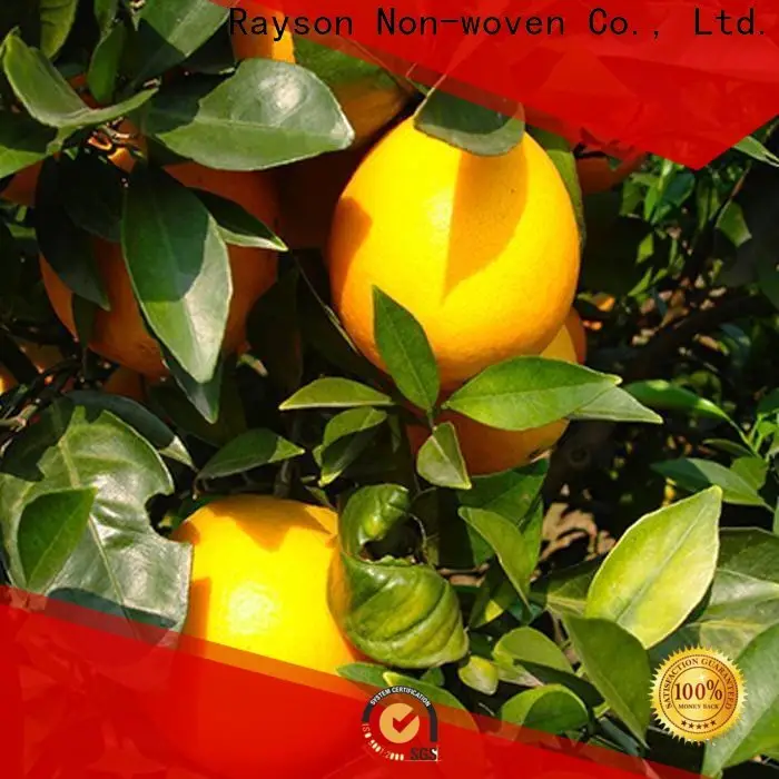 Rayson nonwoven Rayson özel nonwoven zemin ot kontrol kumaşı tedarikçisi 1