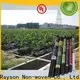 Lieferant von Rayson ODM-Vliesstoff-Unkrautmembranen mit 100 g/m² 1