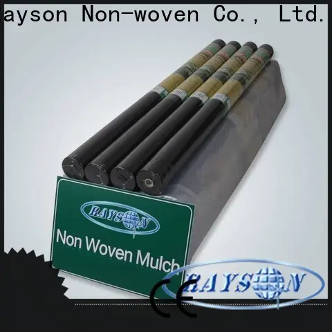 Rayson nonwoven taş üreticisi altında en iyi peyzaj kumaşı 1