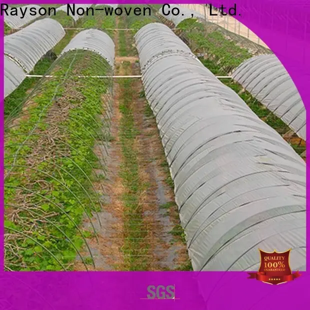 Rayson nonwoven Toplu olarak en iyi nonwoven ot kaplama malzemesini toplu olarak satın alın 1