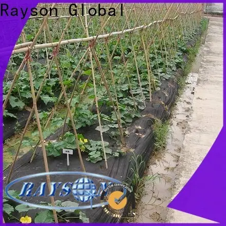 Rayson 부직포 잡초 제거 양털 공급 업체 1