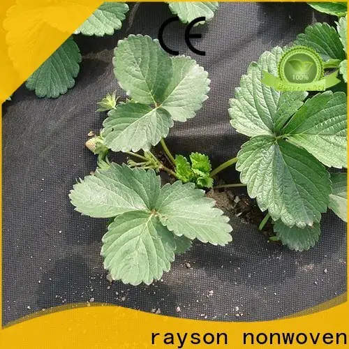 Feuille de mauvaises herbes ODM Rayson Wholesale pour une entreprise de jardinage 1