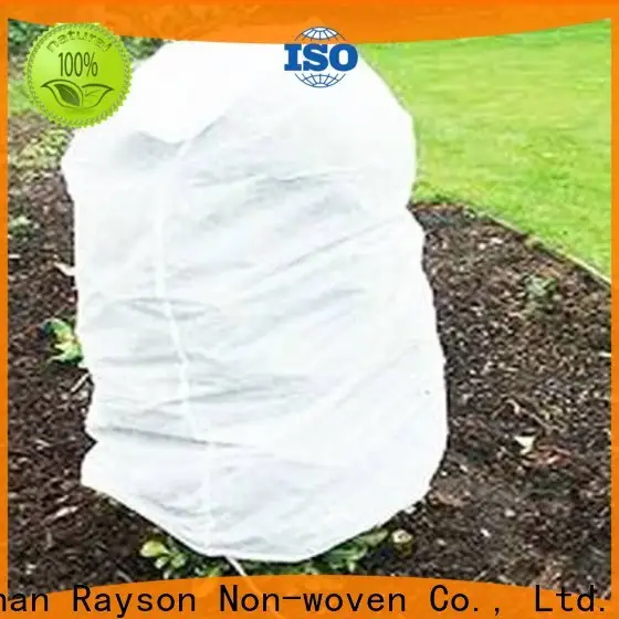 produttore di coperture per file di piante in tessuto non tessuto di alta qualità Rayson ODM non tessuto 1