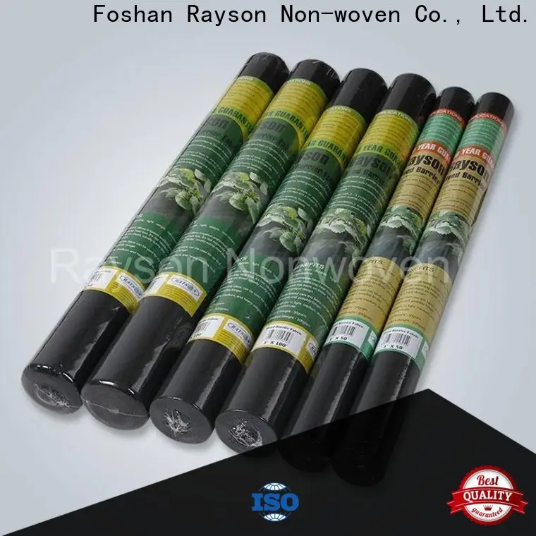Rayson não tecido Rayson Custom OEM melhor tecido de paisagem sob rocha a granel 1