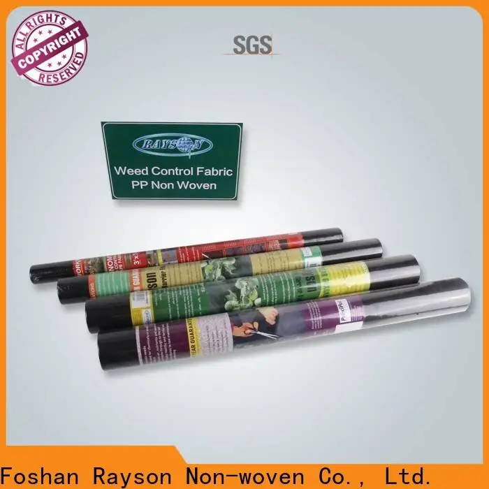 Rayson nonwoven Rayson Özel ODM peyzaj kumaşı çakıl üreticisi altında 1