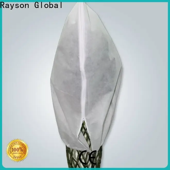 Rayson dokunmamış Rayson ganpati dokunmamış kumaş üreticisi 1