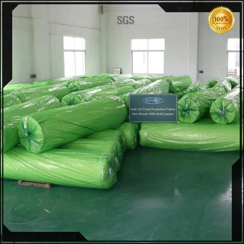 Rayson nonwoven Rayson ODM profesyonel sınıf peyzaj kumaş fabrikası 1