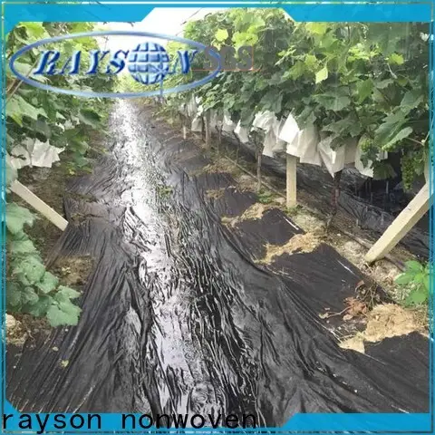 Rayson nonwoven toplu olarak en iyi peyzaj kumaşı 1